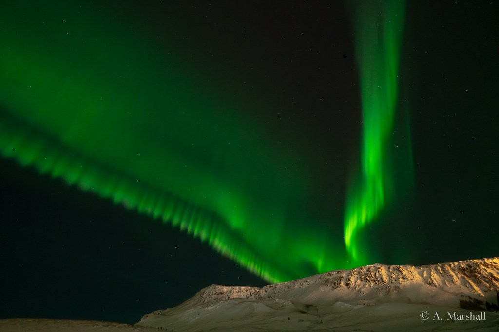 Green bands of northern lights stream over a snow covered mountain ridge.